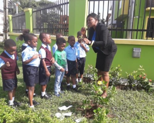 curriculum extension 2 curriculum extension 2