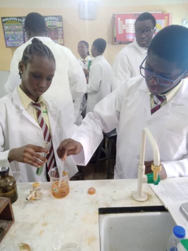 Qualitative Analysis Chemistry Practical SS2